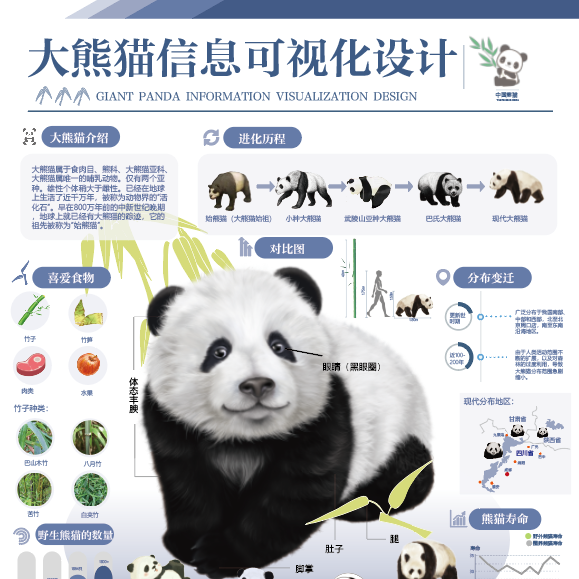 四川大熊猫信息可视化信息图表可视化源AI矢量文件